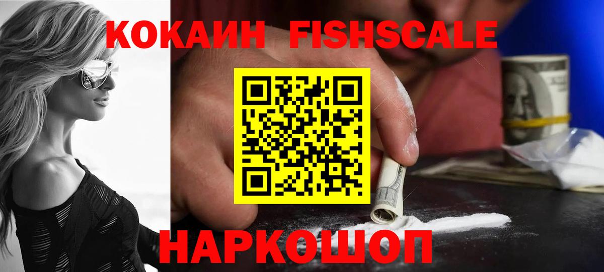 Cocaine Fish Scale  Вход с VPN  Заводоуковск 