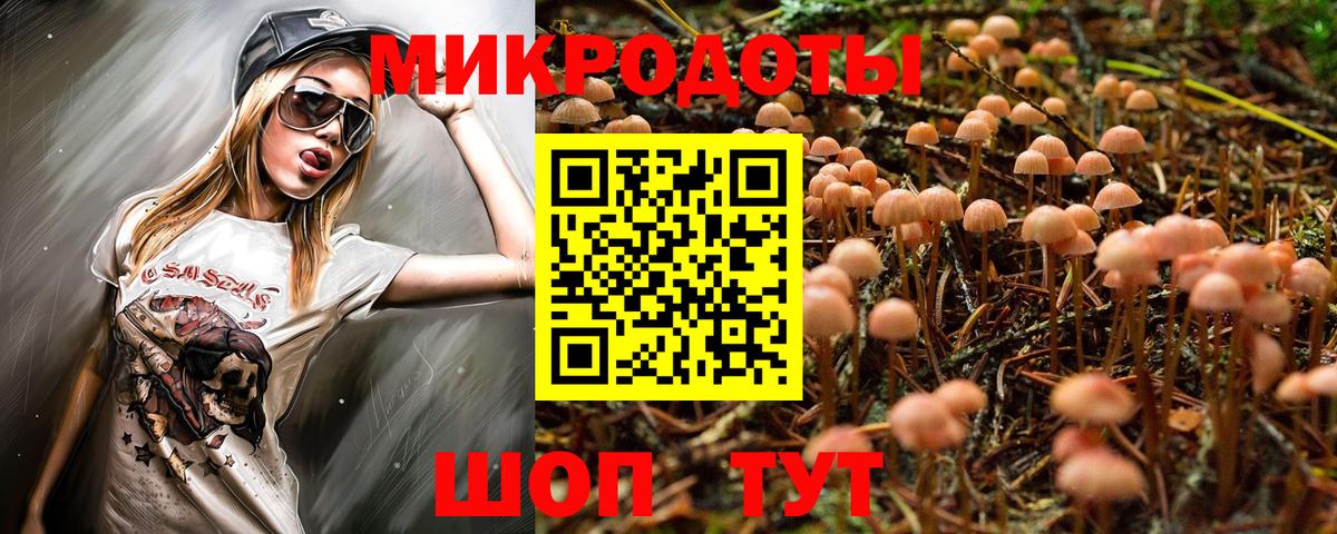 Галлюциногенные грибы Psilocybe Заводоуковск