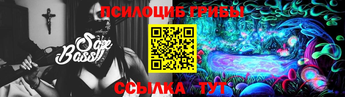 сколько стоит  Галлюциногенные грибы мицелий  Заводоуковск  Вход с VPN  Галлюциногенные грибы прущие грибы 